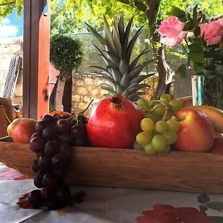 Casa de Férias Karydhia *